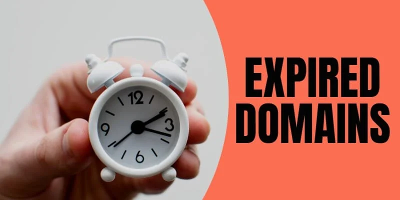 How do you find expiring domains?