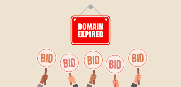 Expired Domains: Hidden Value or SEO Minefield?